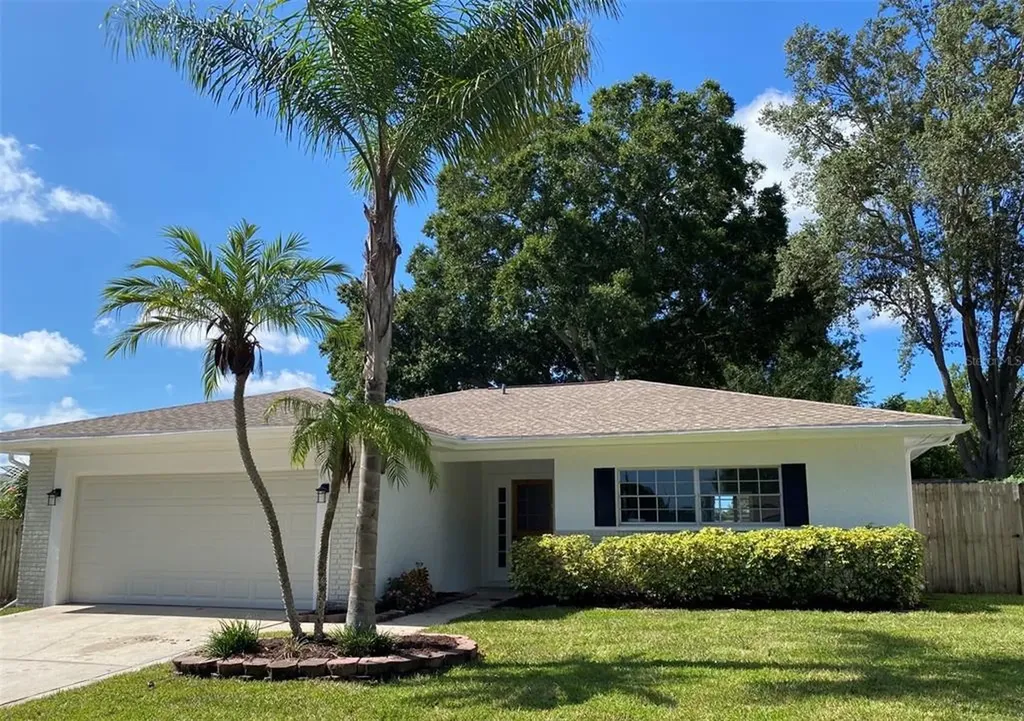 2446 Orangepointe Avenue Palm Harbor FL 34683