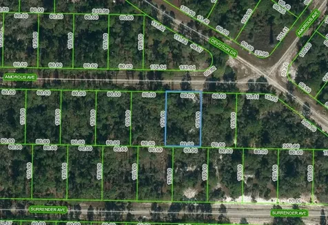 427 Amorous Avenue Lake Placid FL 33852