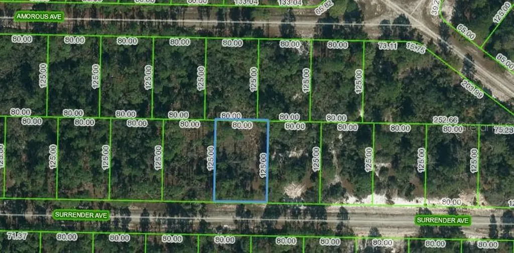 420 Surrender Avenue Lake Placid FL 33852