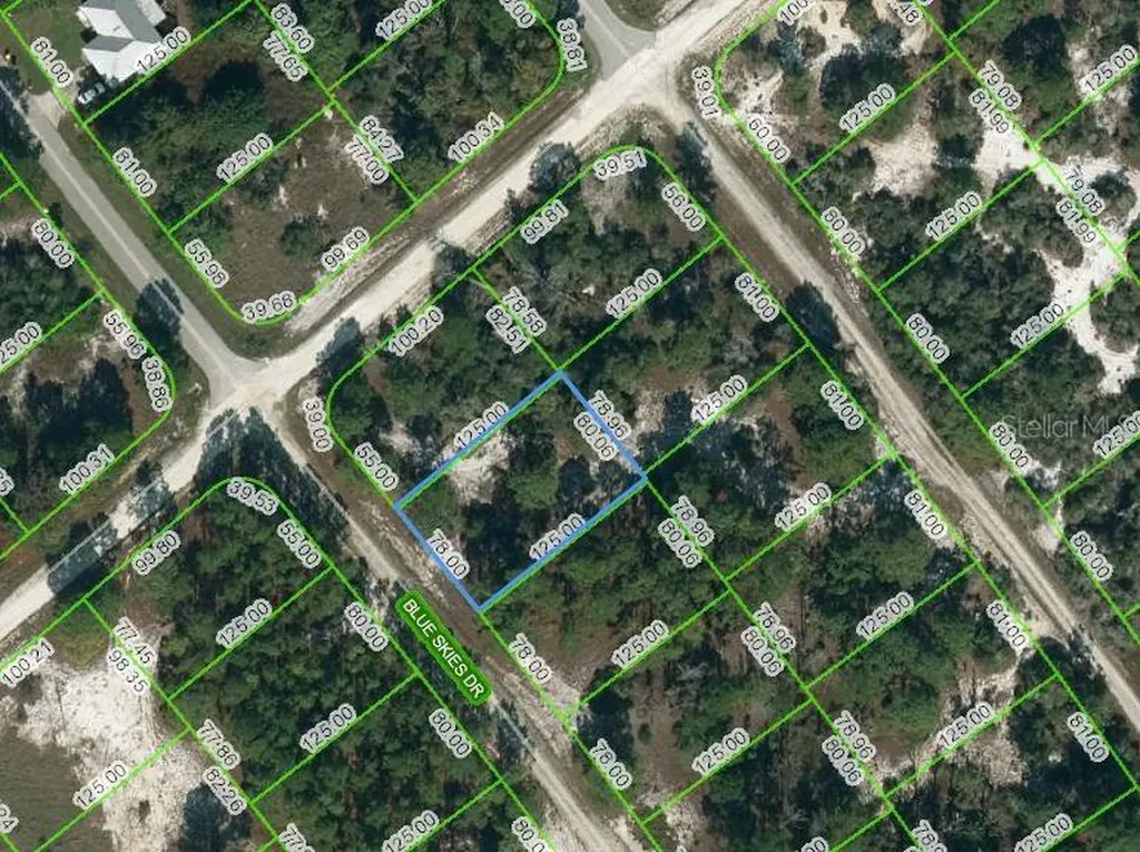 537 Blue Skies Drive Lake Placid FL 33852