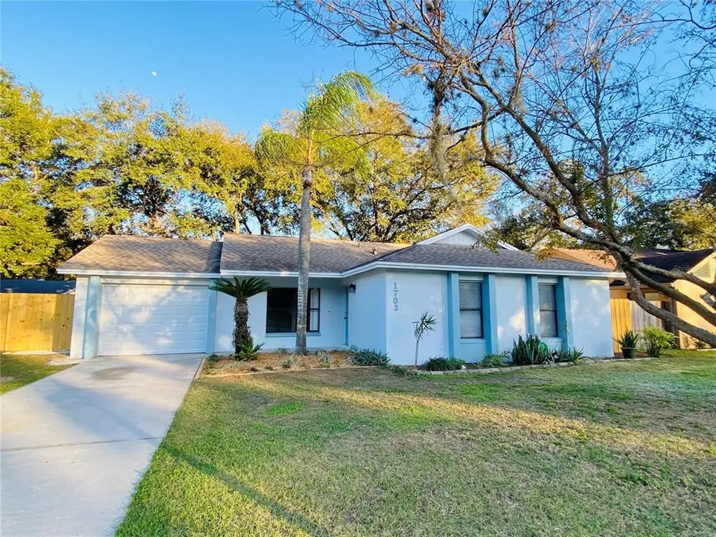 1703 Newland Place Valrico FL 33594