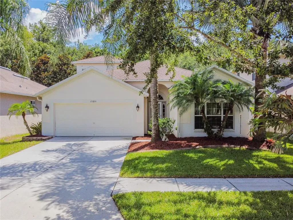 15826 Cedar Elm Terrace Land O Lakes FL 34638