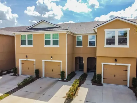 14259 Damselfly Drive Tampa FL 33625