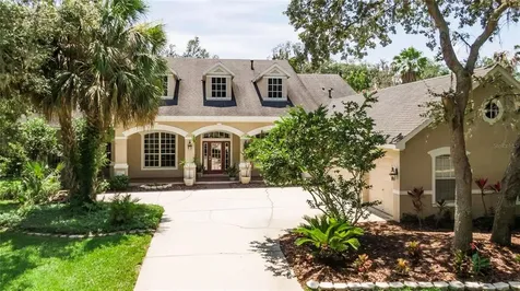 6317 Soratrace Street Lithia FL 33547