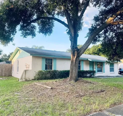 2216 Selkirk Street Valrico FL 33594