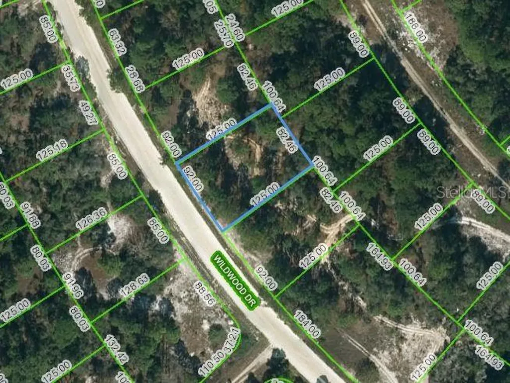 355 Wildwood Drive Lake Placid FL 33852