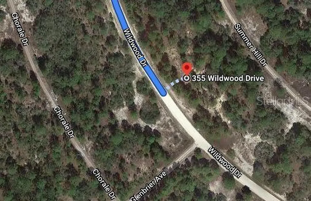 355 Wildwood Drive Lake Placid FL 33852
