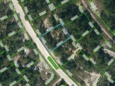355 Wildwood Drive Lake Placid FL 33852