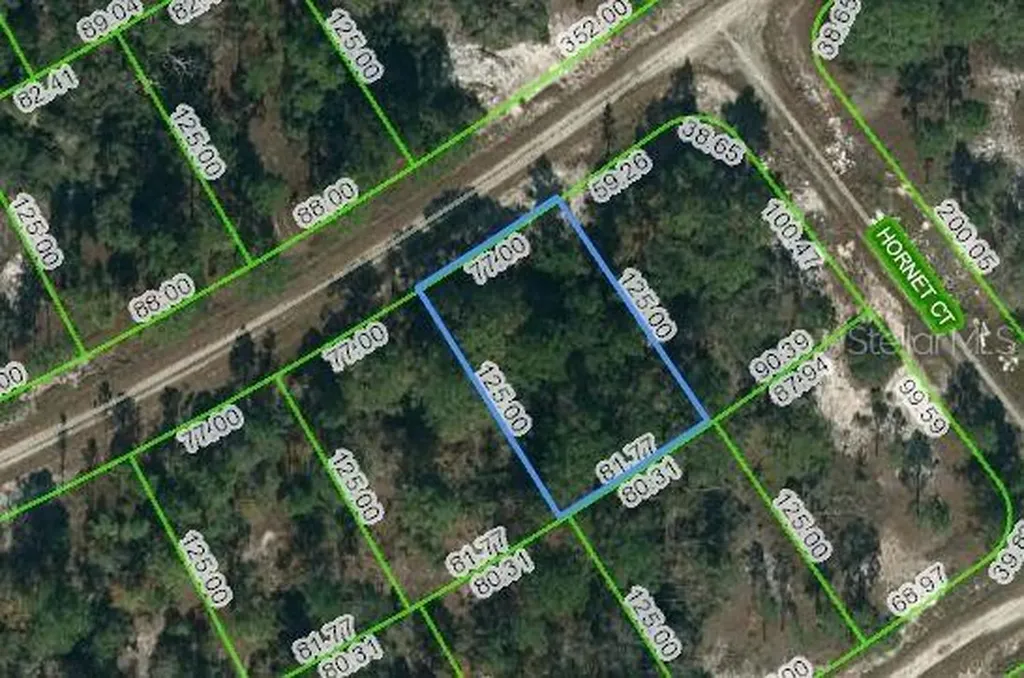 389 Showboat Avenue Lake Placid FL 33852