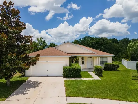 11301 Bridge Pine Drive Riverview FL 33569