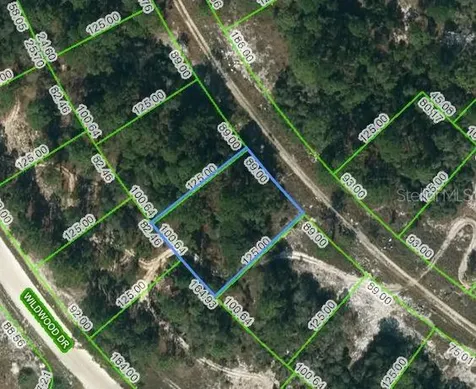 352 Summer Hill Drive Lake Placid FL 33852