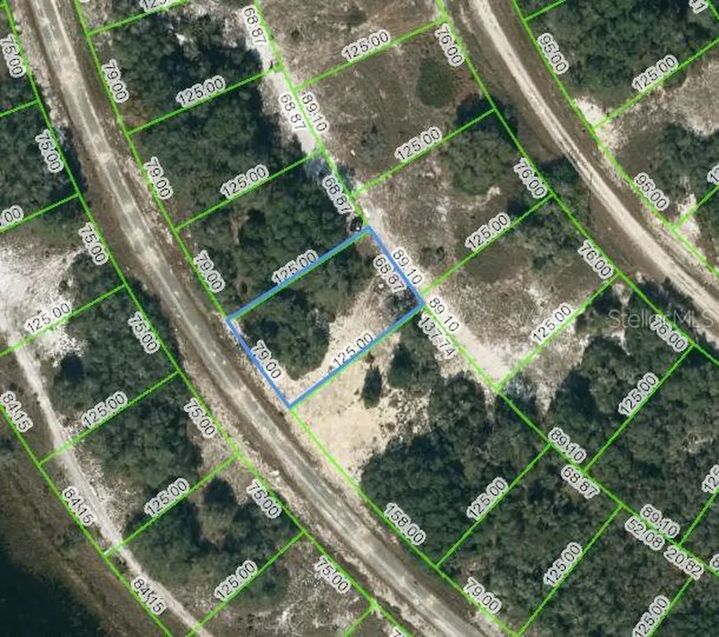 311 Rhythm Drive Lake Placid FL 33852
