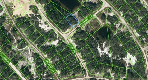 506 Dreamland Avenue Lake Placid FL 33852