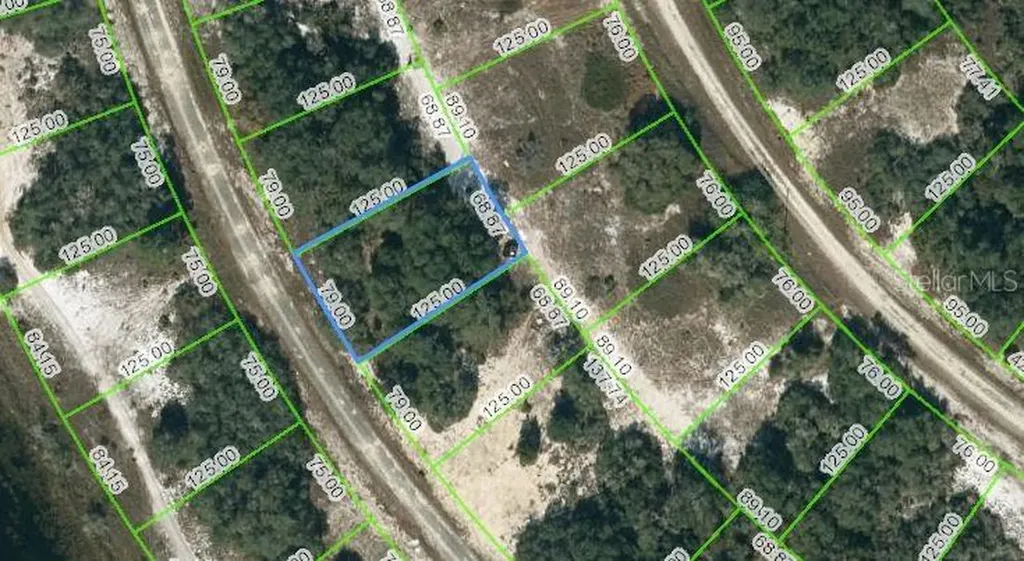 313 Rhythm Drive Lake Placid FL 33852