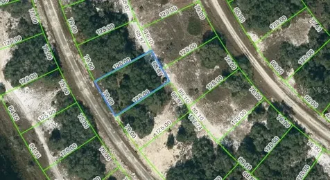 313 Rhythm Drive Lake Placid FL 33852