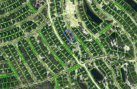 314 Drama Drive Lake Placid FL 33852