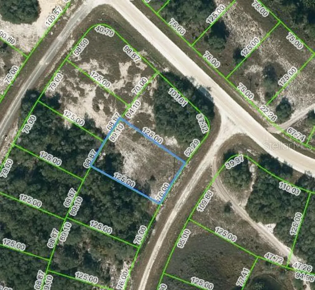 322 Dargen Drive Lake Placid FL 33852
