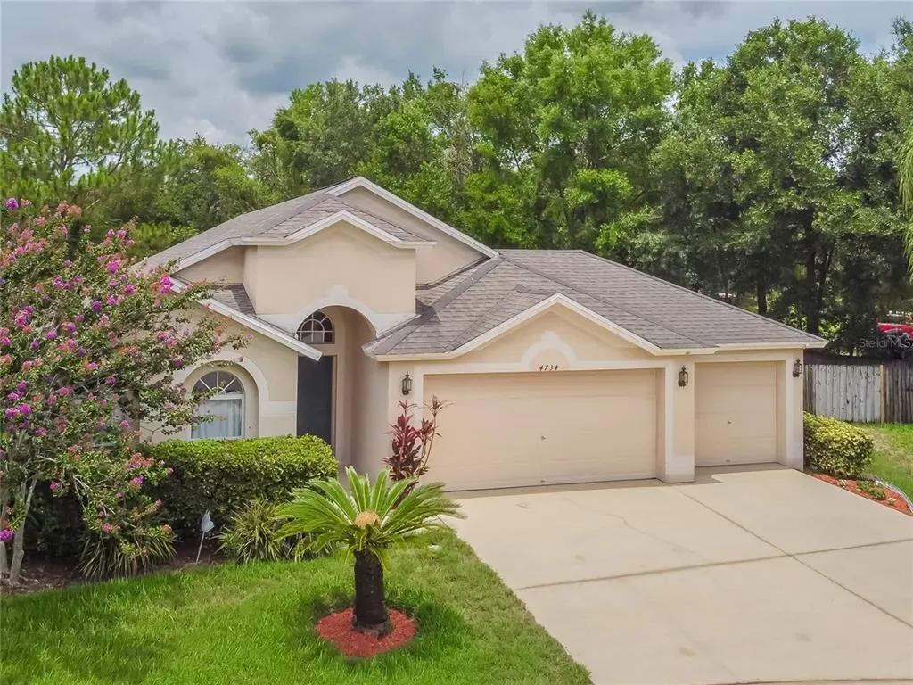 4734 Roundview Court Land O Lakes FL 34639