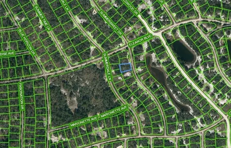 322 Summersweet Drive Lake Placid FL 33852