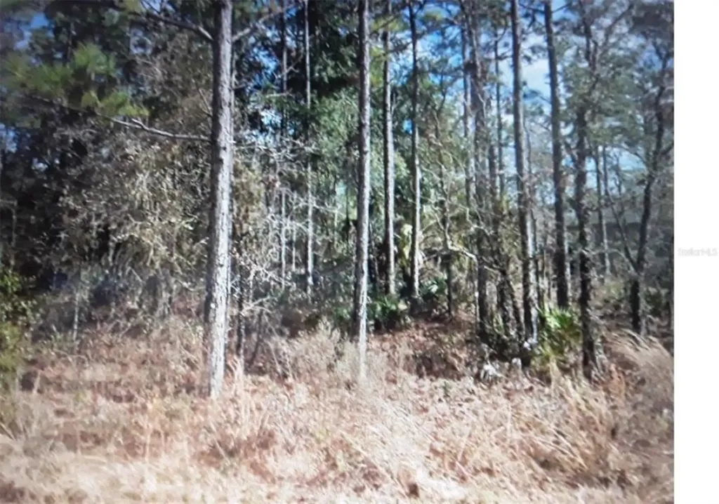 13542 Downy Woodpecker Road Weeki Wachee FL 34614