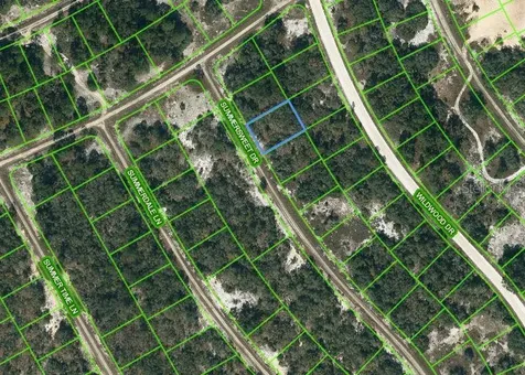 349 Summersweet Drive Lake Placid FL 33852