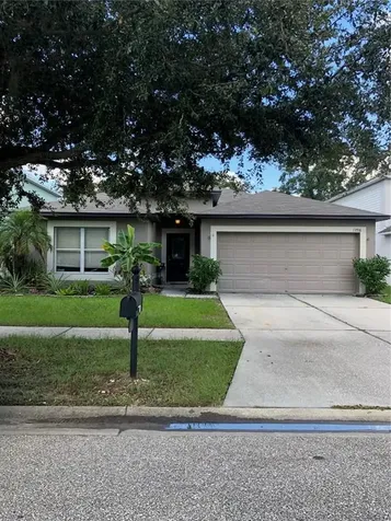 13516 Copper Head Drive Riverview FL 33569