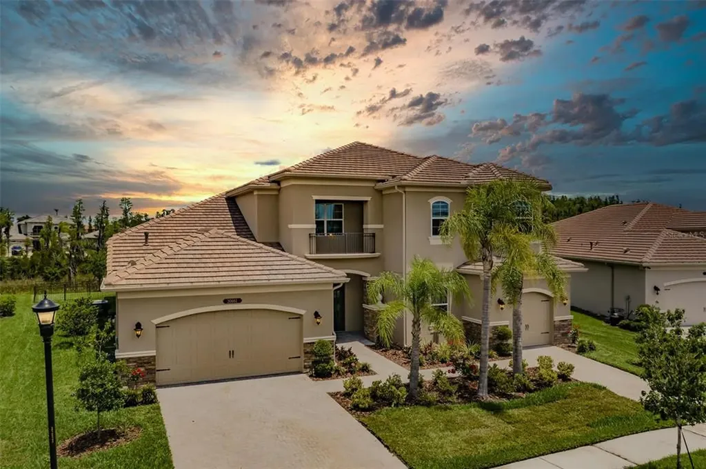 30661 Tumbleberry Street Wesley Chapel FL 33543