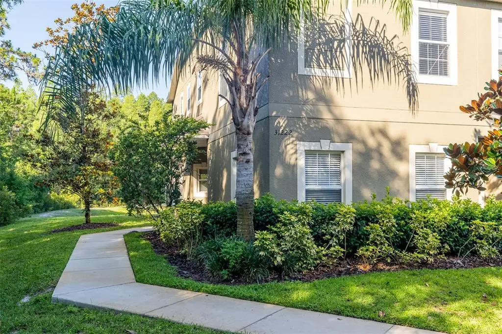 31222 Flannery Court Wesley Chapel FL 33543