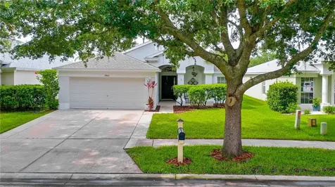 19801 Bellehurst Loop Land O Lakes FL 34638