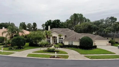 3618 Swans Landing Drive Land O Lakes FL 34639