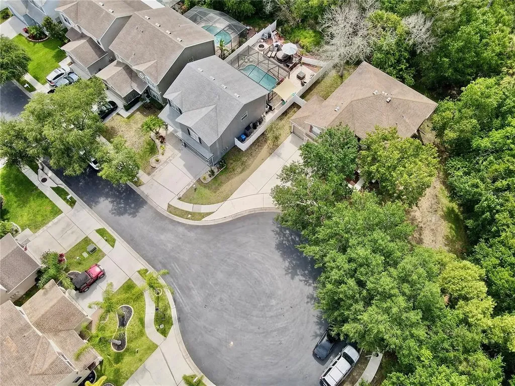 12507 Bay Branch Court Tampa FL 33635