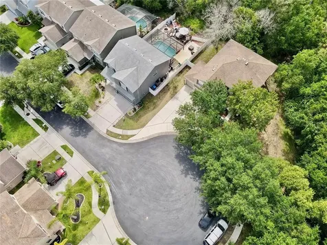 12507 Bay Branch Court Tampa FL 33635