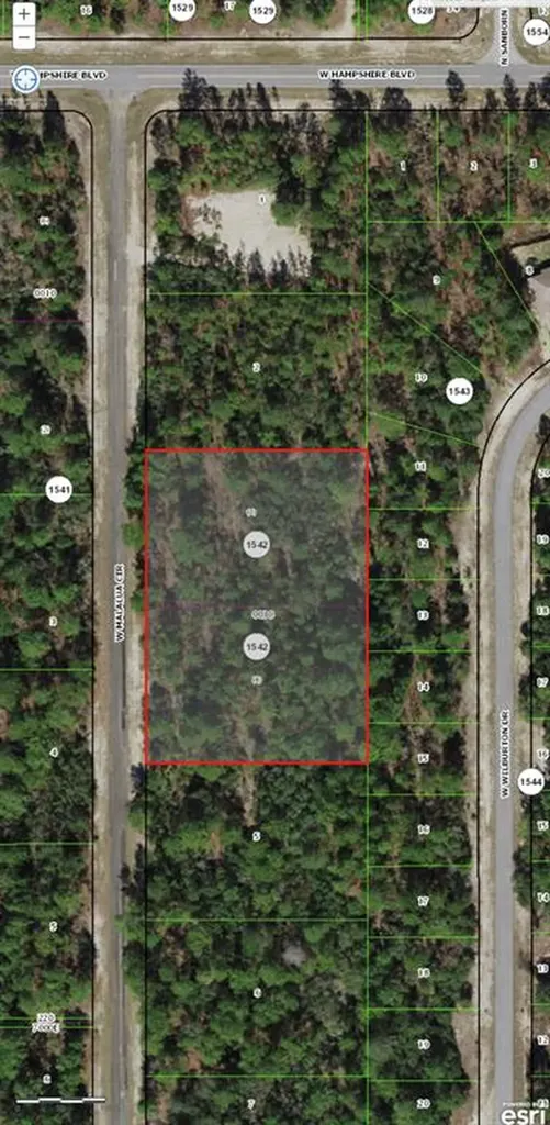 4054 W Malaluka Circle Citrus Springs FL 34433