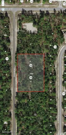 4054 W Malaluka Circle Citrus Springs FL 34433