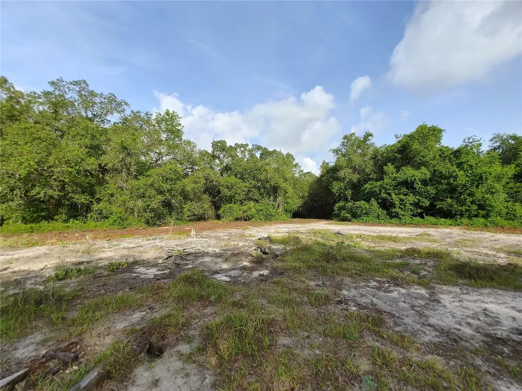 7819 E Elm Street Tampa FL 33610