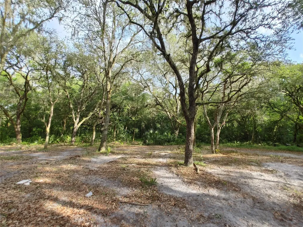 7819 E Elm Street Tampa FL 33610