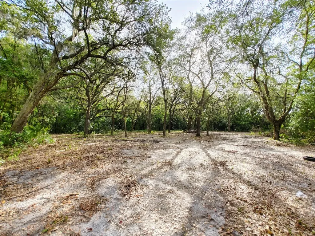 7819 E Elm Street Tampa FL 33610
