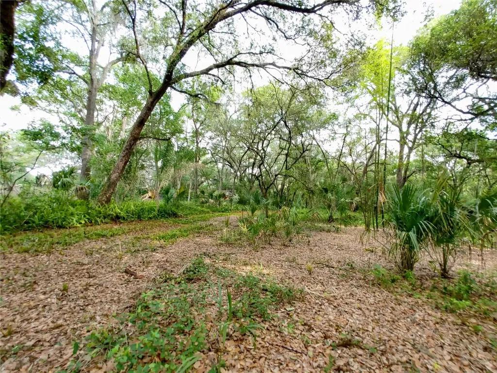 7819 E Elm Street Tampa FL 33610