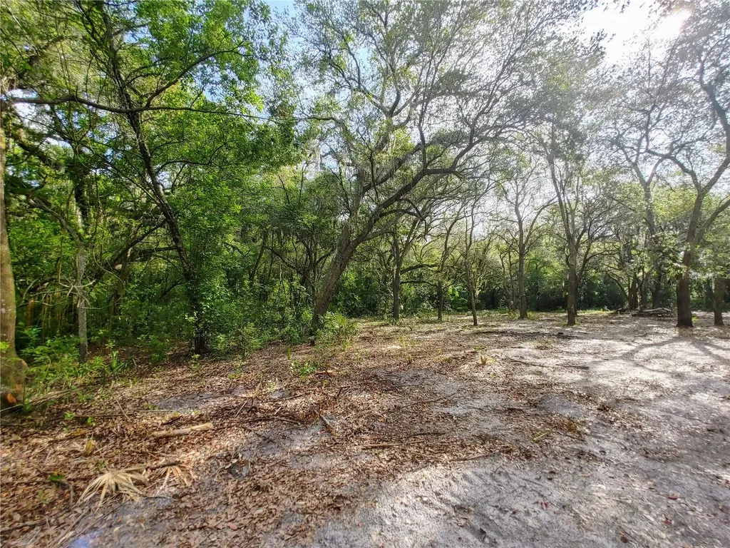 7819 E Elm Street Tampa FL 33610