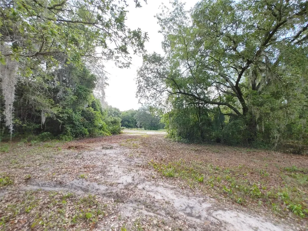 7819 E Elm Street Tampa FL 33610