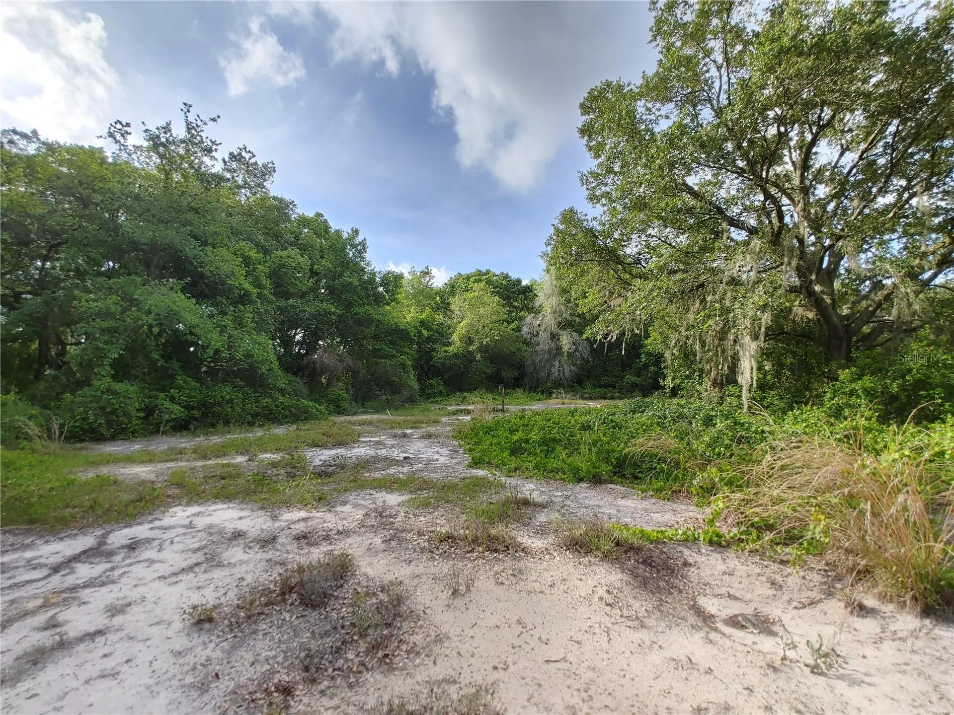 7819 E Elm Street Tampa FL 33610