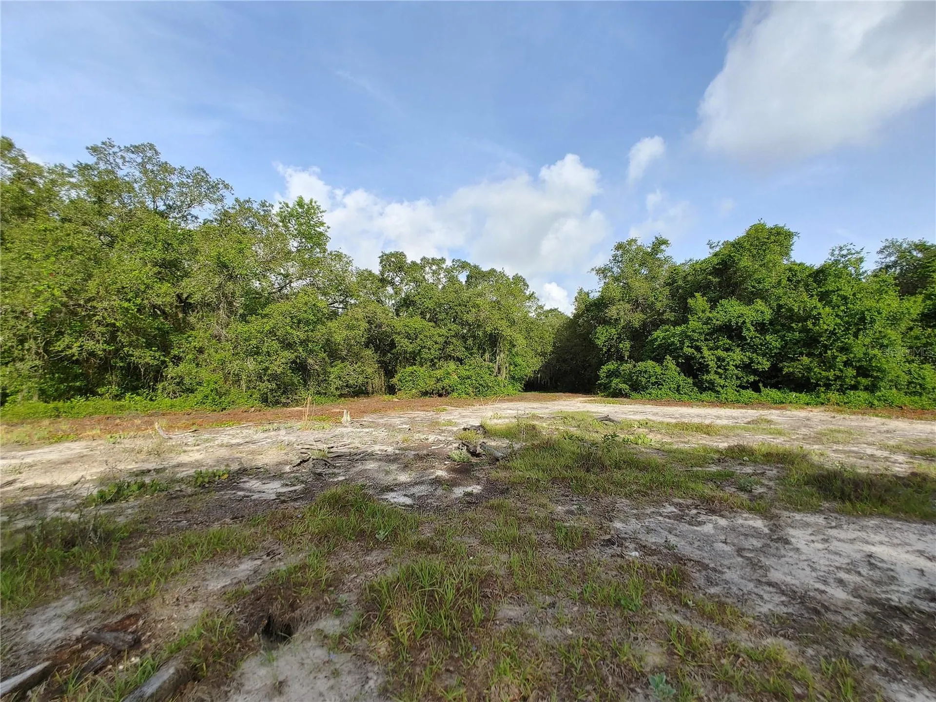 7819 E Elm Street Tampa FL 33610