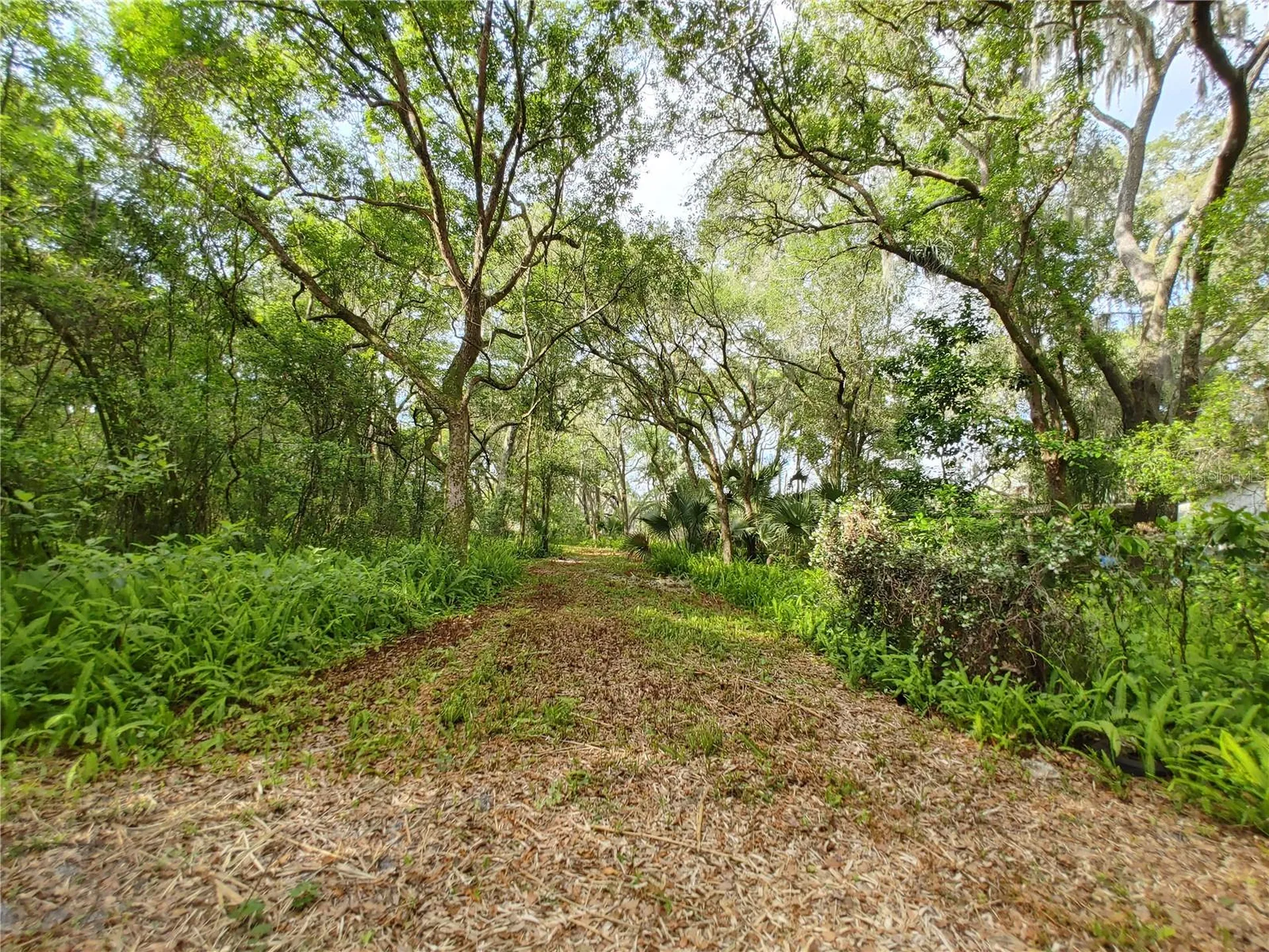7819 E Elm Street Tampa FL 33610