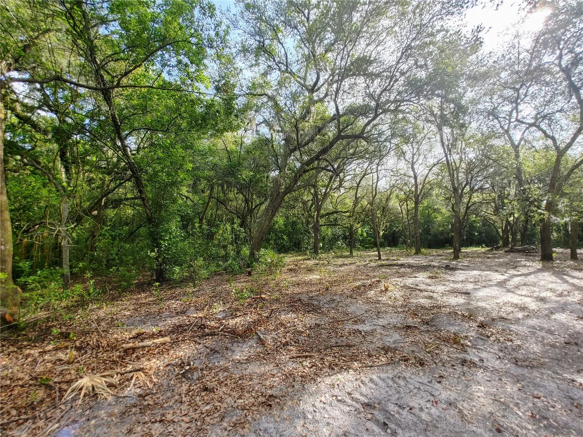 7819 E Elm Street Tampa FL 33610