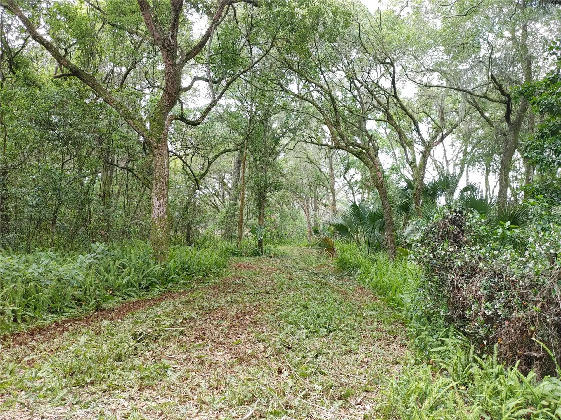 7819 E Elm Street Tampa FL 33610