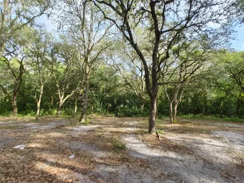 7819 E Elm Street Tampa FL 33610