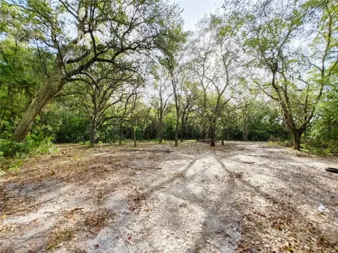 7819 E Elm Street Tampa FL 33610