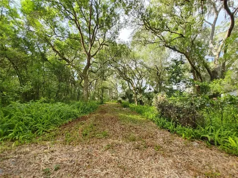 7819 E Elm Street Tampa FL 33610