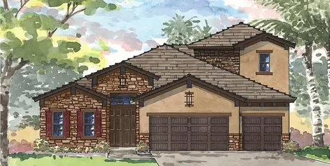 11349 Hawks Fern Drive Riverview FL 33569