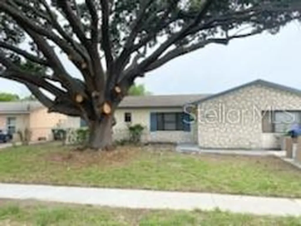 4541 Canna Drive Orlando FL 32839